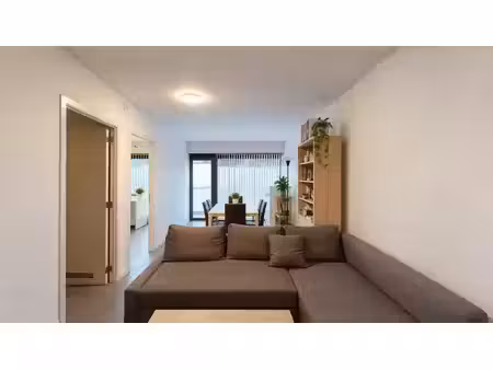 woluwedal: appartement 3 chambres + bureau
