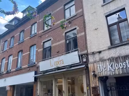 gunstig gelegen herenhuis vlakbij de grote markt