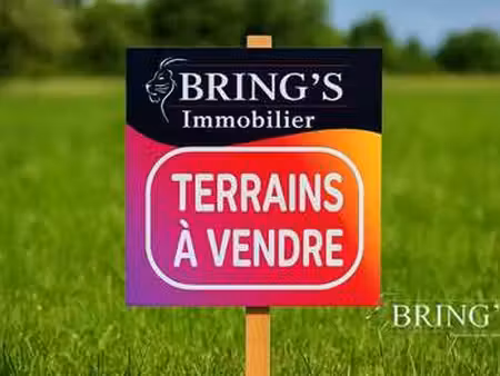 vente terrain à champfleur (72610) : à vendre / 800m² champfleur