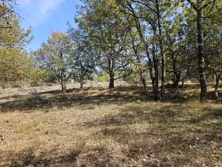 terrain boisé au calme – accès par piste – cadre naturel préservé