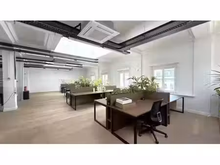 bureaux prestigieux à louer sur la meir à anvers