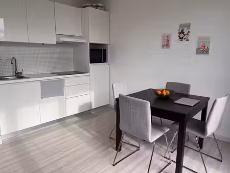 charmant appartement avec grande terrasse près de la gare