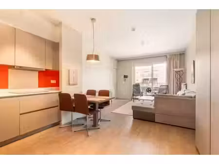 appartement meublé 1 chambre  terrasse & emplacement parking