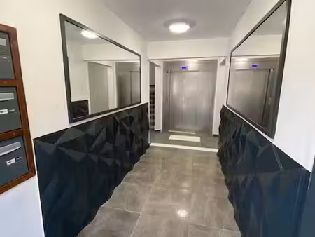 immo-vert  appartement t3  cayenne