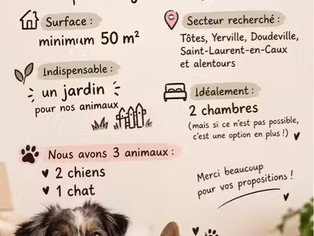 recherche location maison