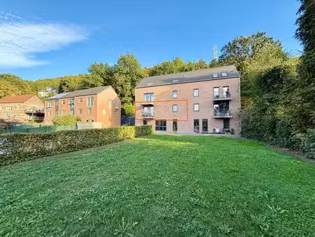 bel appartement 2 ch avec vue sur la meuse + cave+parking