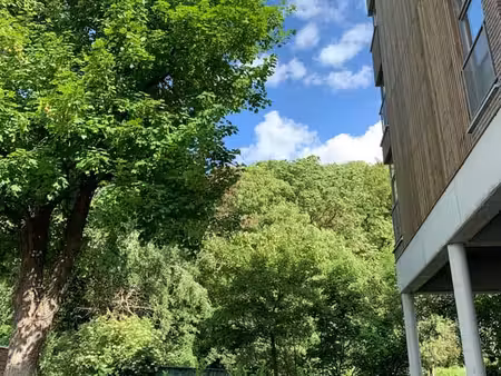 immeuble de caractère - 1 chambre ( + mezzanine )