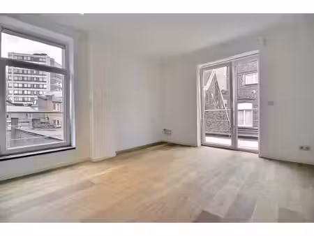 spacieux appartement 1 chambre