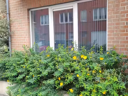 bel appartement à louer  au rdc  à braine-le-comte