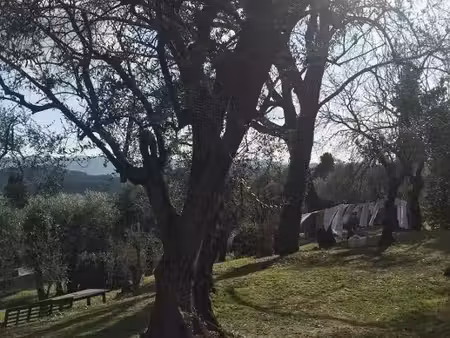 villa de 250m² avec terrasse  jardin et parking