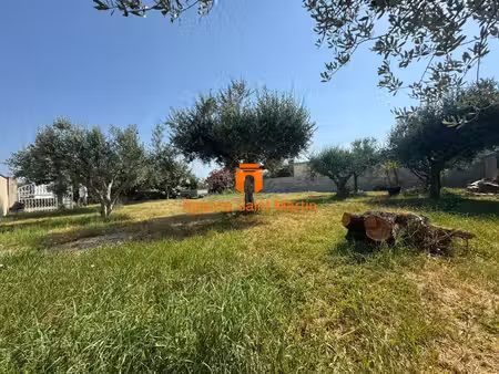 terrain plat et arboré constructible