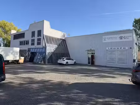 vente locaux professionnels 700 m² à puygouzon (81990)  475 000 €