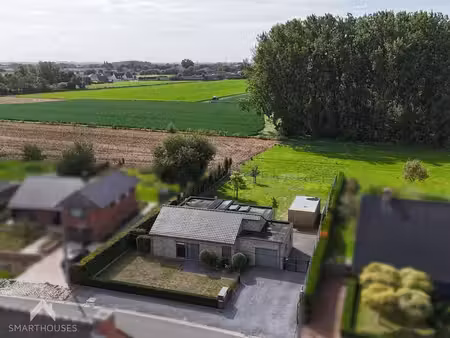 tapuitstraat 61  8790 waregem