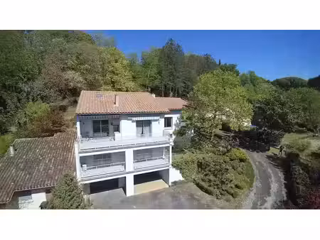 vente maison 306 m² à moissac (82200)  450 000 €