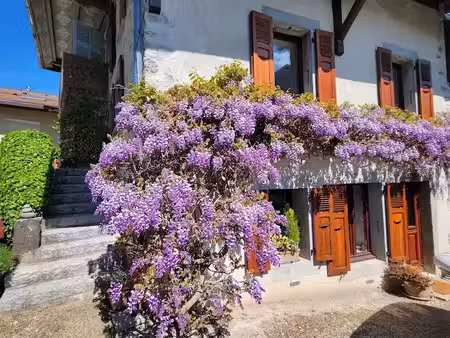 vente maison 5 pièces 90 m² à sciez (74140)  449 900 €