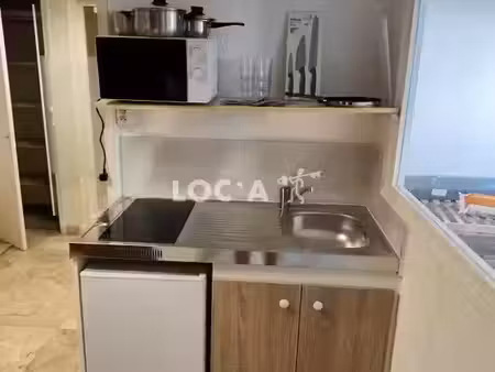 location appartement 2 pièces 40 m² à villeurbanne (69100)