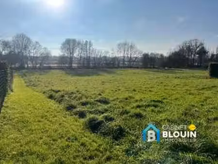 vente terrain à issé (44520) : à vendre / 7709m² issé