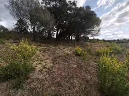 terrain constructible neuf à vendre