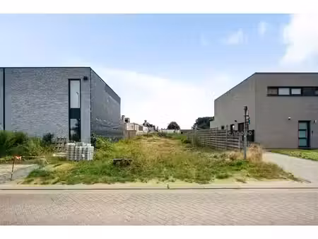 terrain