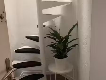 appartement 1 pièce 28 m²