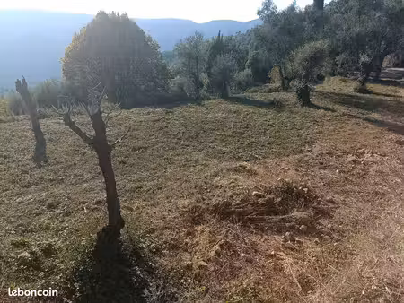 terrain constructible de 1300m2 ensoleillé
