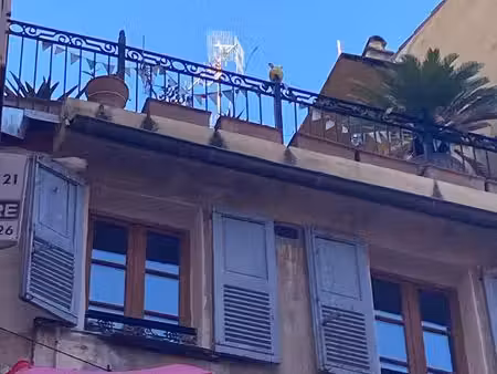 duplex avec terrasse grasse