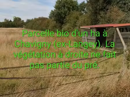 24 ha de terres louées à investir dans le faux perche