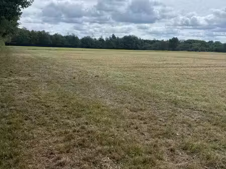 vend prairies libre en sologne brinon sur sauldre