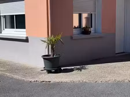 studio meublé