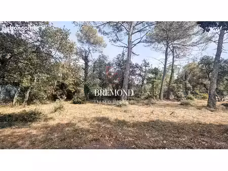 terrain 800 m² gareoult