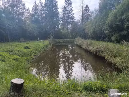 étang