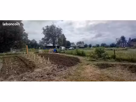 terrain