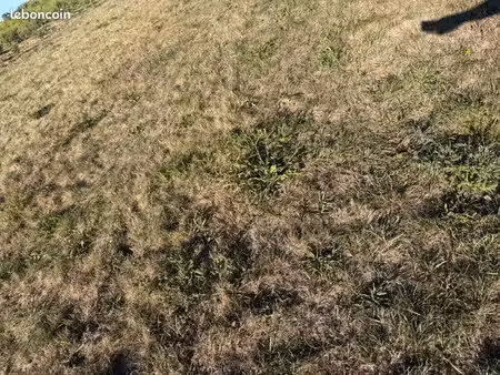 terrain a la campagne