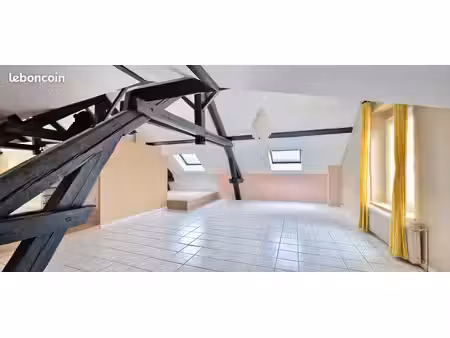 beau loft de 122m² au cœur de saint-dié-des-vosges