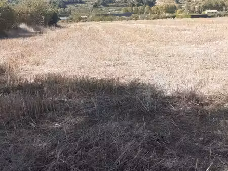 terrain agricole - 4242m2 - saint jean de muzols