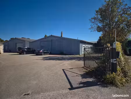 entrepôt / local professionnel côté droit 700 m² + bureaux – terrain 1600 m²