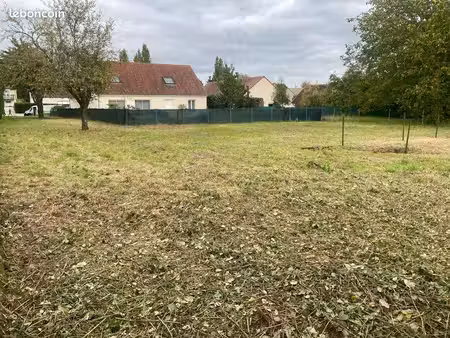 terrain abattirent