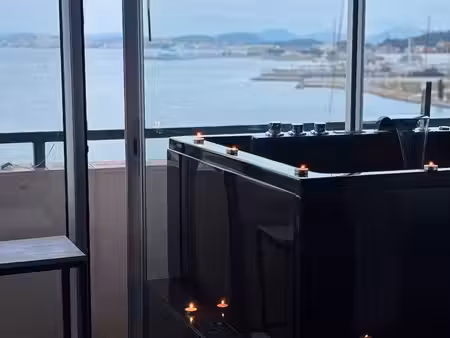appartement meublé avec rooftop et vue mer - la seyne-sur-mer t