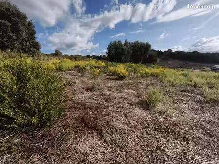 terrain 1037 m² ajaccio