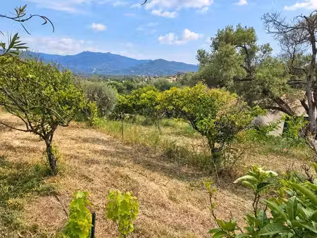 terrain constructible hors lotissement - bastelicaccia - 900 m²