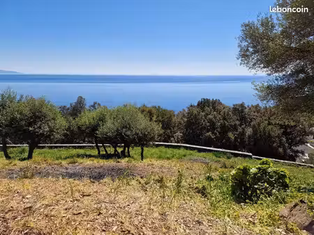 terrain brando vue mer