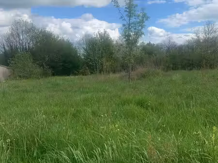 terrain avec cu