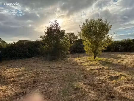 terrain agricole