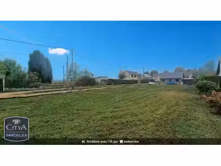 terrain
