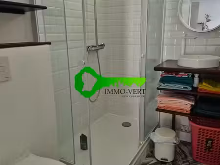 immo-vert  appartement t2  cayenne