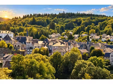maison à vendre à treignac (19260) - corrèze