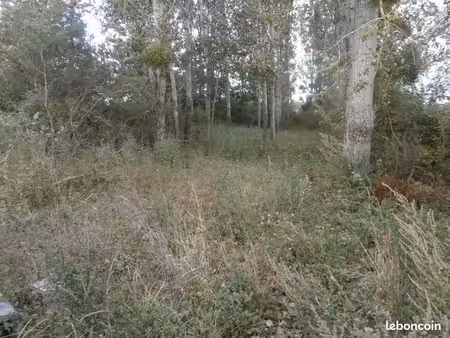 terrain 2 370 m² saint georges sur la pree