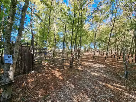 terrain 3720 m² osmery