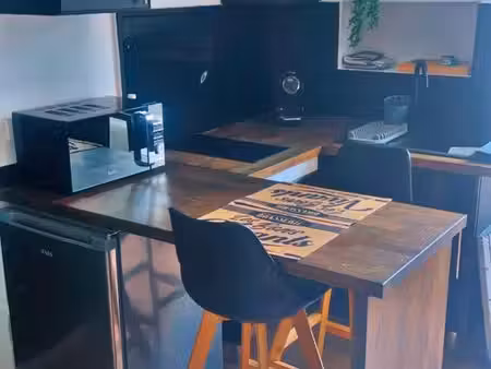 appartement meublé rénové 25 m² – centre-ville de bourges  quartier gambon