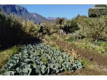 terrain agricole